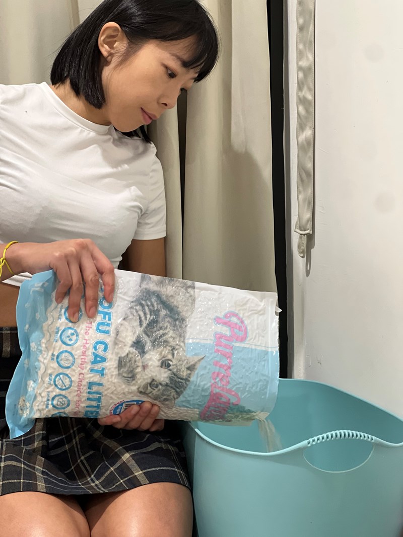 試用